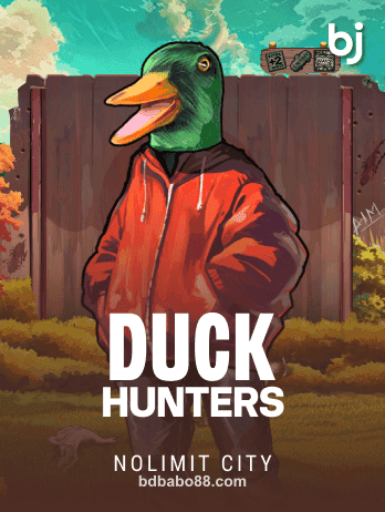 bdbabo88 Duck Hunterspng Game Interface